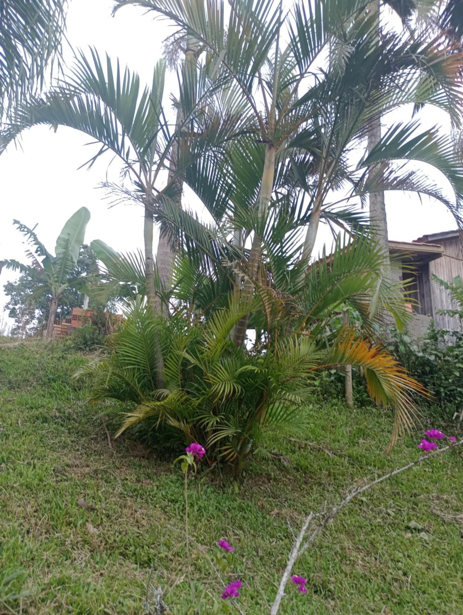 Familia Cataneo Vila Lauro Muller Exterior foto